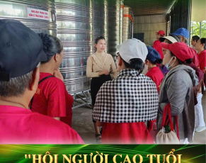 HỘI NGƯỜI CAO TUỔI THAM QUAN NHÀ MÁY PHONG THẢO