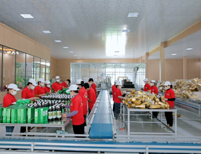 Nhà Máy Sản Xuất Nước Cốt Nhàu